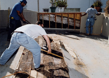 deck carpentry job removing dry rot decking