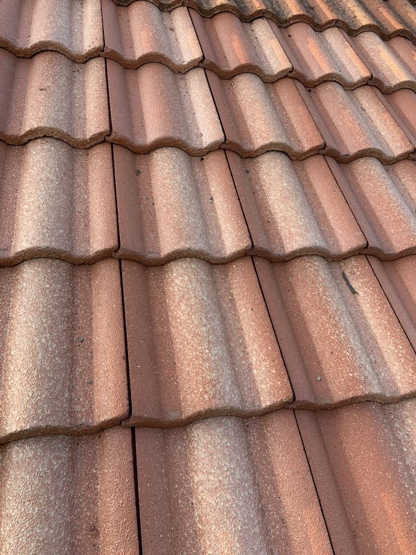 Clay tile set back in place after a repair